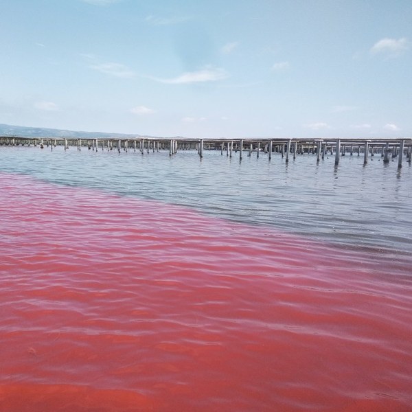 Hidrodinàmica Costanera i Estuaria